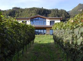 B&B Il Vigneto, bed and breakfast a Melano