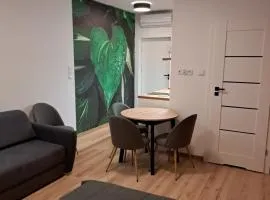 Apartamenty Zielony Liść