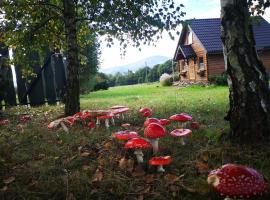 Domek na Kamieńcu, hotel in Wilkowice