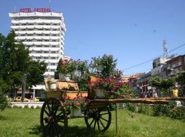 Hotel Decebal, hótel í Bacău