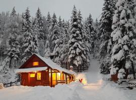 Chalet Woody, chalet in Stara Sušica