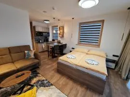 Apartman Veka-Hotel Ovruč