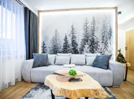 VisitZakopane - Radowid Loft Spa Apartment