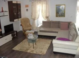 Apartment in Zaton (Zadar) with Air conditioning, WIFI, Washing machine (4828-1)