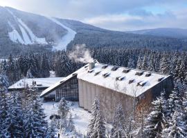 Wellness Hotel Svornost, hotell i Harrachov