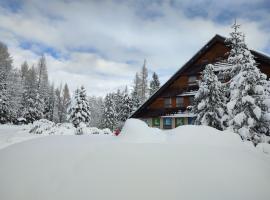 Vila Kosodrevina Štrbské Pleso Vysoké Tatry, hotel a Štrbské Pleso