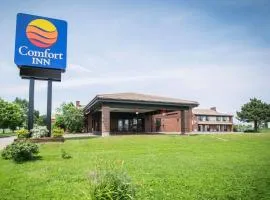 Comfort Inn Airport East