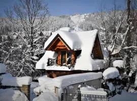 Domek Gniewnik Zakopane