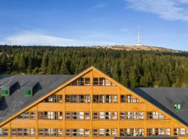 Hotel Petrovy kameny, hotel com jacuzzi em Karlova Studánka