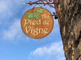 Appart Hotel Au Pied de Vigne โรงแรมที่สัตว์เลี้ยงเข้าพักได้ในVresse-sur-Semois