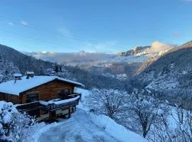 Chalet Pres des Cimes ski-in ski-out