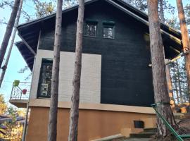 Green door, feriebolig i Vrnjačka Banja