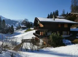 Apartment Chalet Grindelwaldgletscher by Interhome