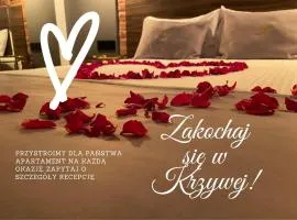 Aparthotel Krzywa Kamienica