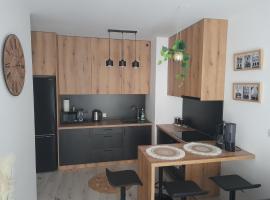 Apartament Amelia, готель у Замості