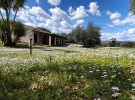 Agriturismo Bio Pian Dei Casali