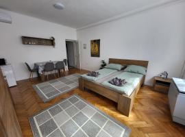 Downtown Studio Apartman, Ferienwohnung in Pécs