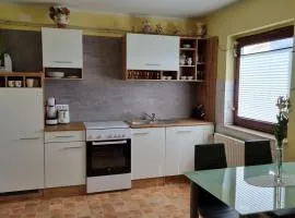 Apartma Tanja -Kamnik