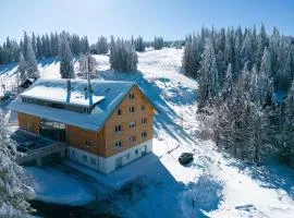 Gemütliche, moderne Fewo Passhöhe - Feldberg - Ski - in und Ski- out Familienurlaub - Hochschwarzwaldcard