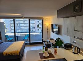 Apartamentos Bauerle Curitiba, מקום אירוח ביתי בטמוקו