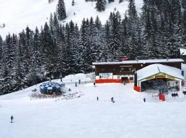 Apartment in Bayrischzell with 2 saunas