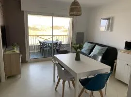 Appartement F2 avec balcon, à 2 pas de la plage, parking privé, animaux admis - FR-1-482-113