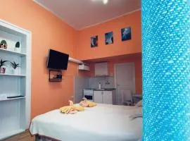 Studio Apartman Burek