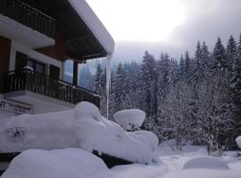 Hôtel la Kinkerne, hótel í Morzine