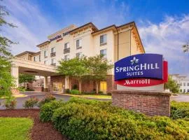 SpringHill Suites by Marriott Lafayette South at River Ranch