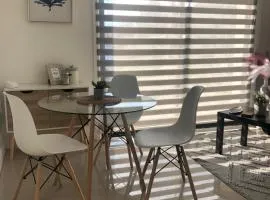 Departamento Los Canelos, a metros de Avenida Las Industrias- Incluye, NETFLIX DirecTV aire acondicionado, Internet