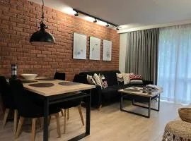 Apartament Śródmieście