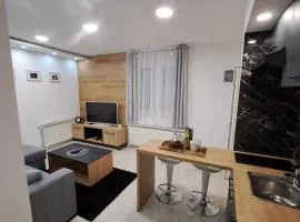 Apartman Pariz