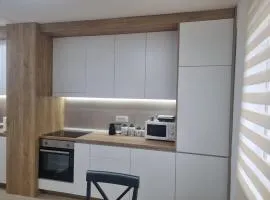 Apartman Stari Grad