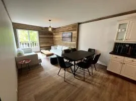 Bel appartement Samoëns 72m2