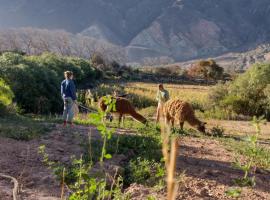 Dormir con llamas, üdülőház Maimarában