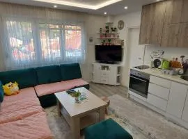 Apartman Essi