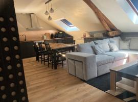 La fine bulle! Magnifique appartement pour votre séjour en CHAMPAGNE, hótel í Épernay