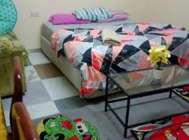 Furnished. Studio.apartment near Al ain mall