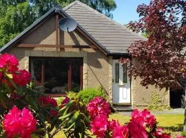 Aviemore Bungalow, Dalfaber