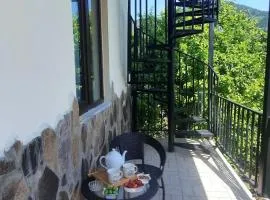 Guest House Bochora