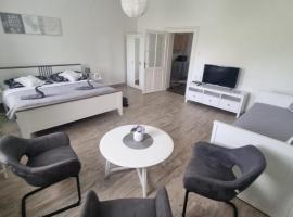 Černý Tulipán - Apartmán 4, hotel di Plzeň