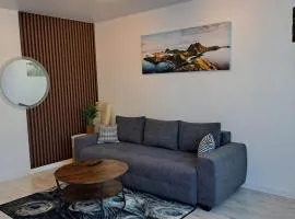 Trumpalaikė apartamentų nuoma centre (Vytauto g.)