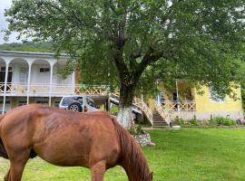 Guest House Balda, хотел в Мартвили