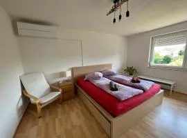 Sonnige 3 Zimmer Wohnung mit schönem Balkon im Grünen