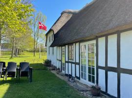 Bækgaardens bed and breakfast, viešbutis Odensėje