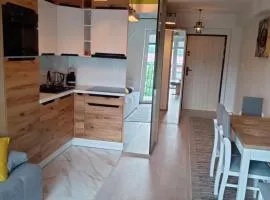 Apartament Sądecki