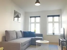 1 Bedroom Apartment In Kolding City Center