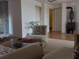 Apartman Saša