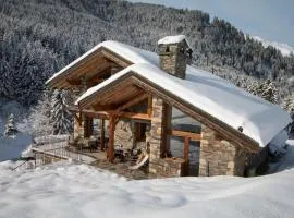 Chalet le Cairn - unique ski-in ski-out location!