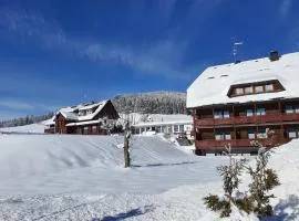 Hotel Sonnenmatte Titisee B und B nahe Badeparadies